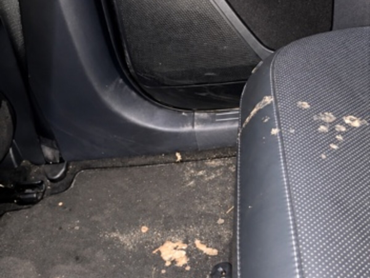 Soiled vehicle carpet before biological spill removal