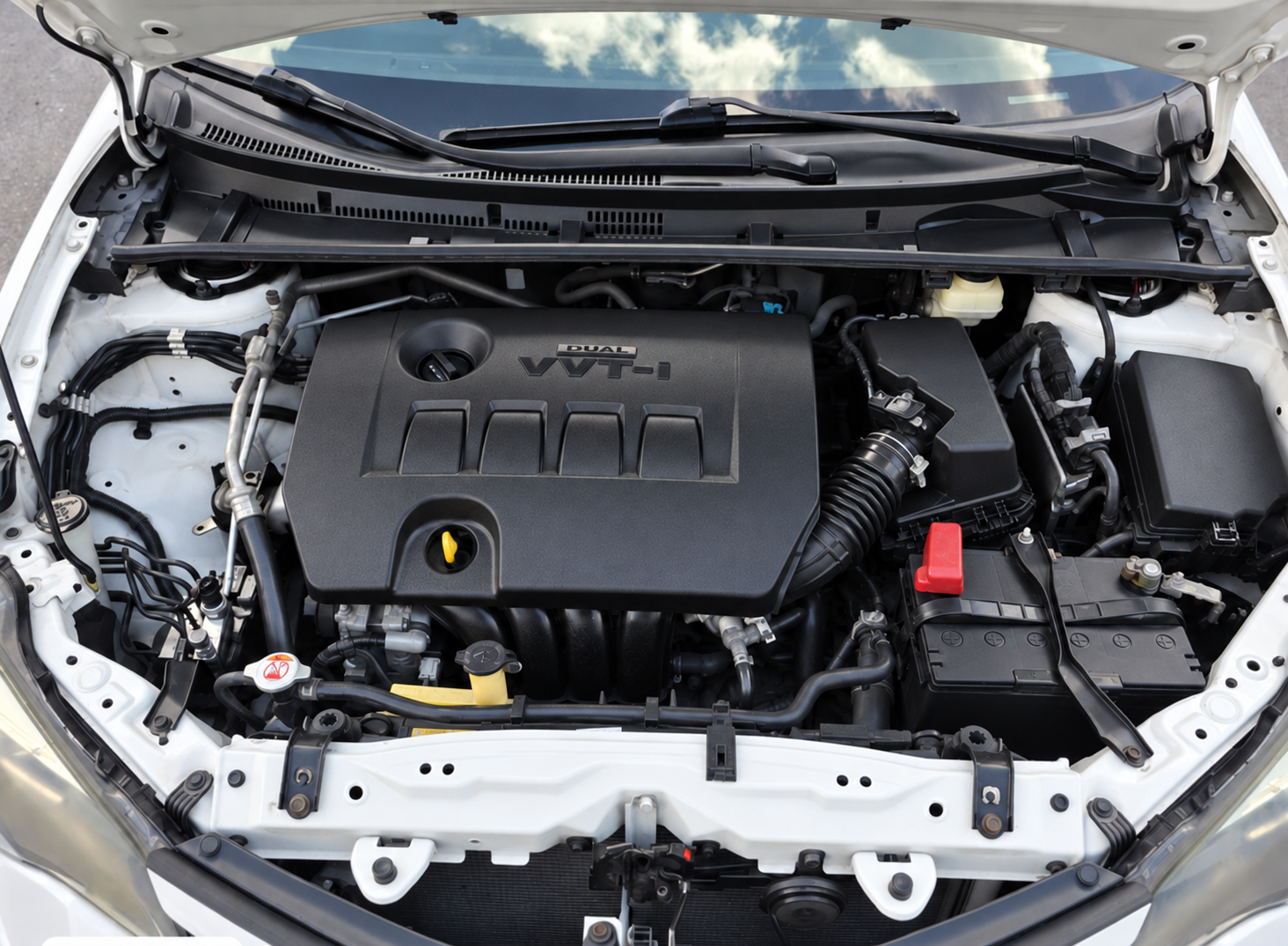 Clean engine bay after steam cleaning