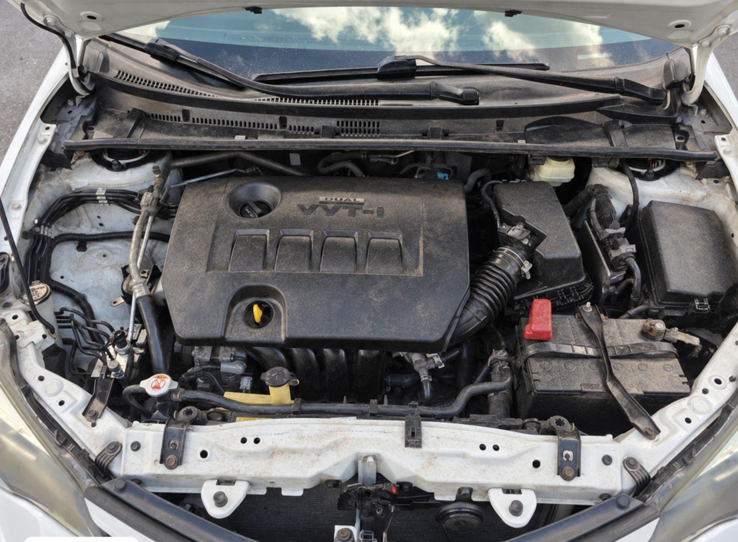 Dusty engine bay before steam cleaning