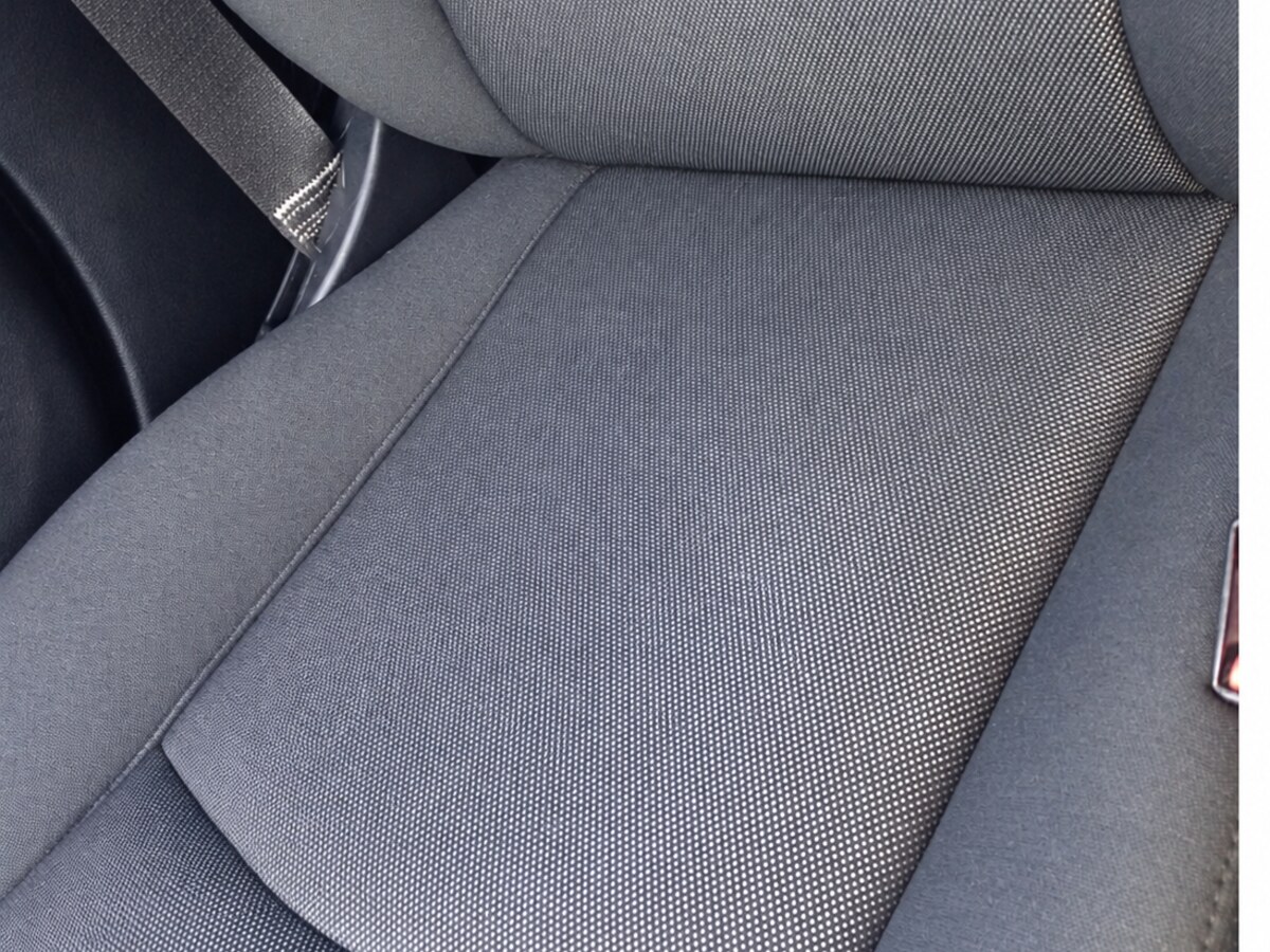 Vehicle seat after professional pet hair removal